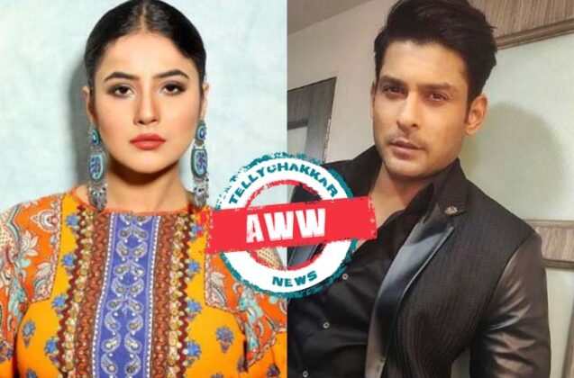 Shehnaaz Gill copies Sidharth Shukla in a THROWBACK video; the latter's