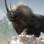 Woolly rhino from the Ice Age found in Russia