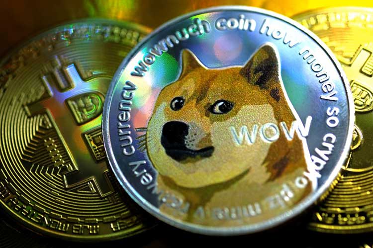 change dog coins to bitcoins news