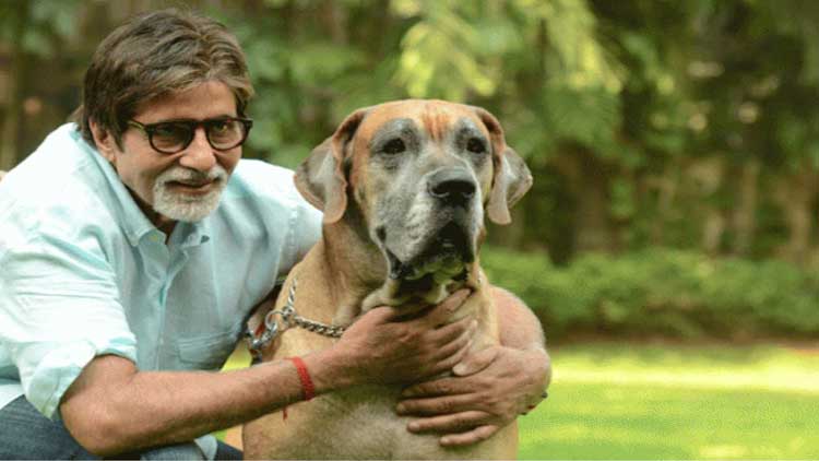 Big B with Sihanouk