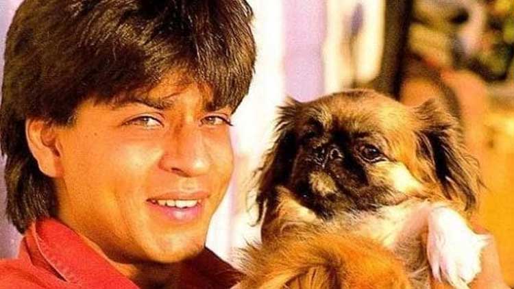 Shah Rukh Khan with his dog Dash