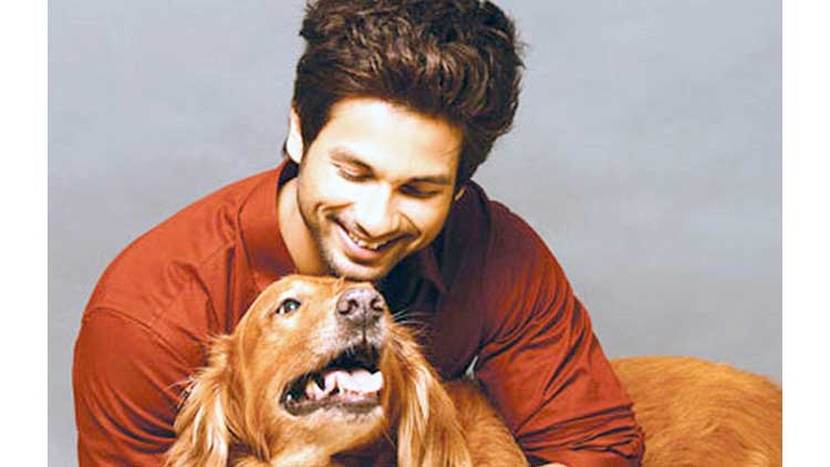 Shahid Kapoor's Dog